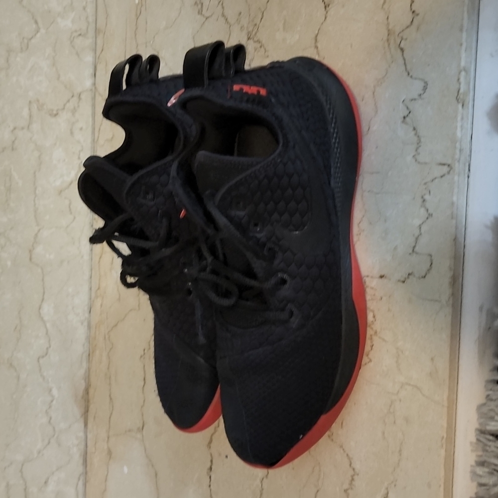 LeBron Men Size 10.5